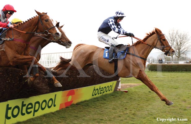 Criqtonic winning at Wincanton - 27 February 2013